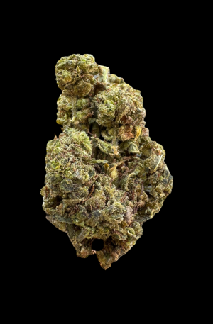 CRITICAL JACK | DTX - 100 G