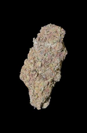 HONEY CHEESE | GHL - 100 G